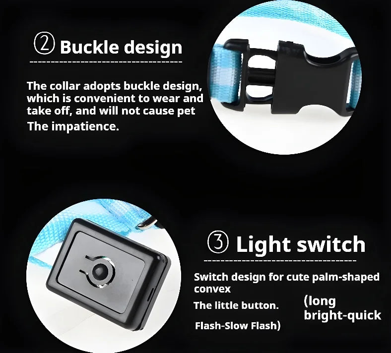 LED Nylon Dog Collar