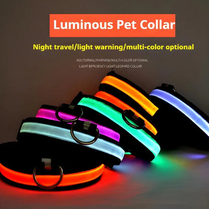 LED Dog Collar