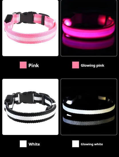 LED Nylon Dog Collar