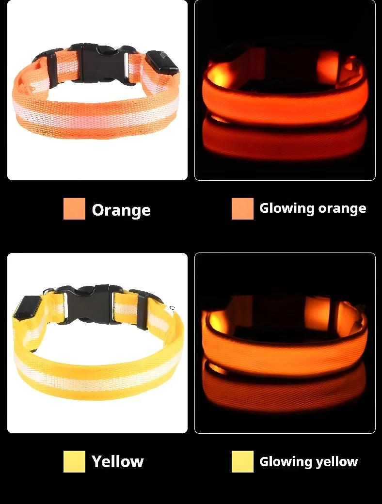 LED Dog Collar