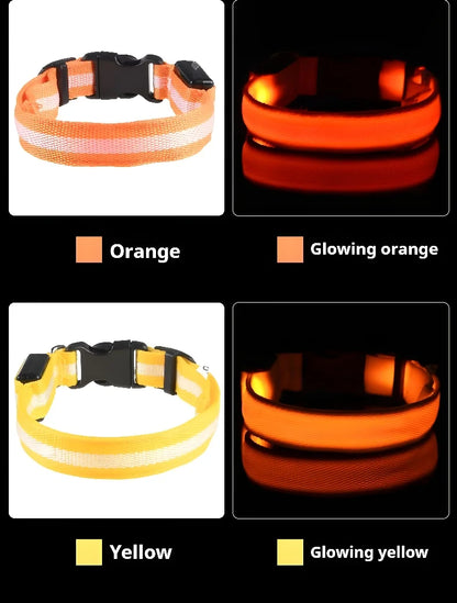 LED Dog Collar