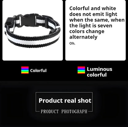 LED Nylon Dog Collar