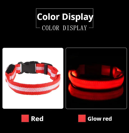 LED Dog Collar