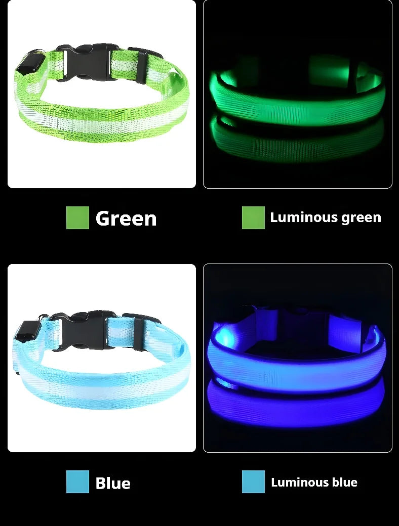 LED Dog Collar