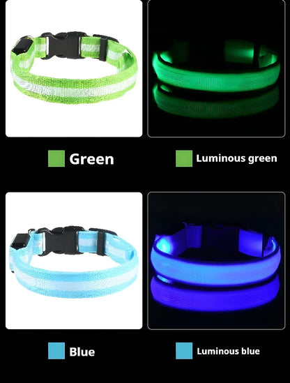 LED Dog Collar