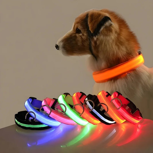 LED Nylon Dog Collar