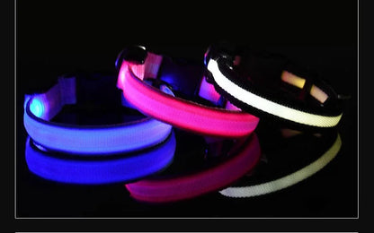 LED Nylon Dog Collar