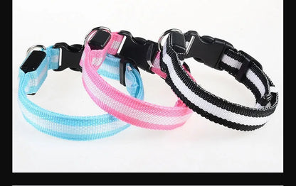 LED Dog Collar