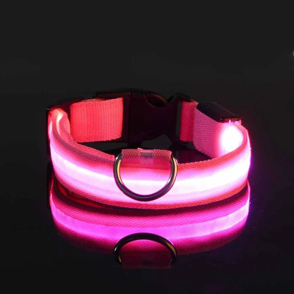 LED Nylon Dog Collar