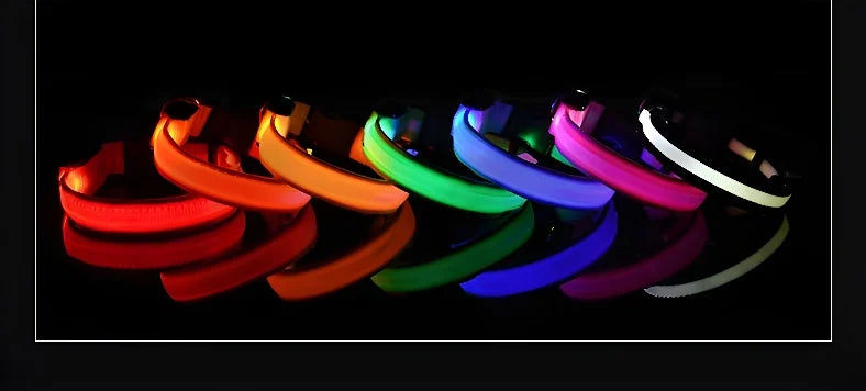 LED Dog Collar