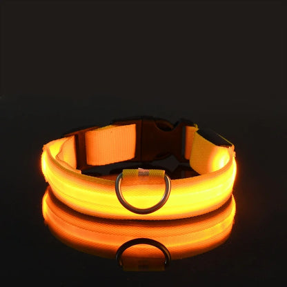 LED Nylon Dog Collar